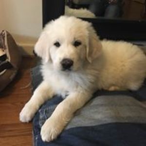 haleymays2003 avatar