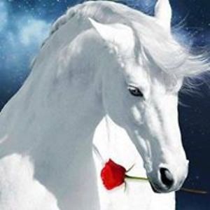 pinkcastlequeen avatar