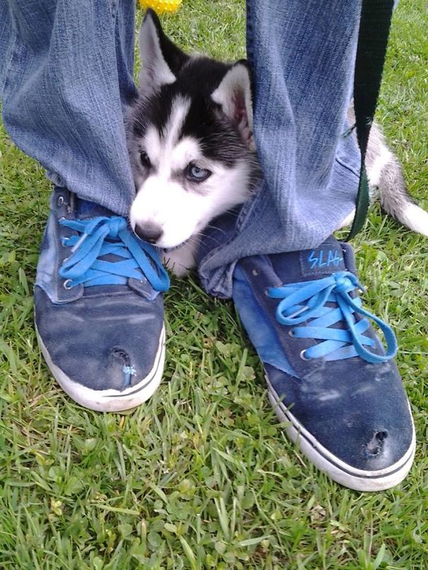 She Hides Behind Her Daddy When She's Scared