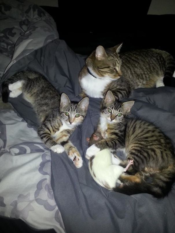 One Of Us Is Not Like The Other