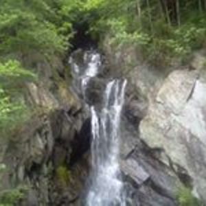 skylerfairbrother avatar