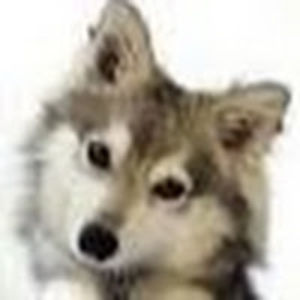 charlettegilbert avatar