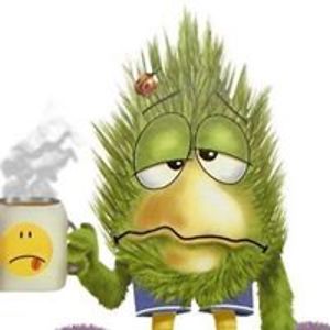 tourandtravel avatar