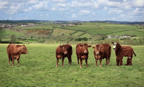 Day 15: They Still Have No Idea