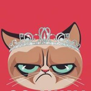 qadri_nawsheen avatar