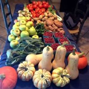 caseymccoupon avatar