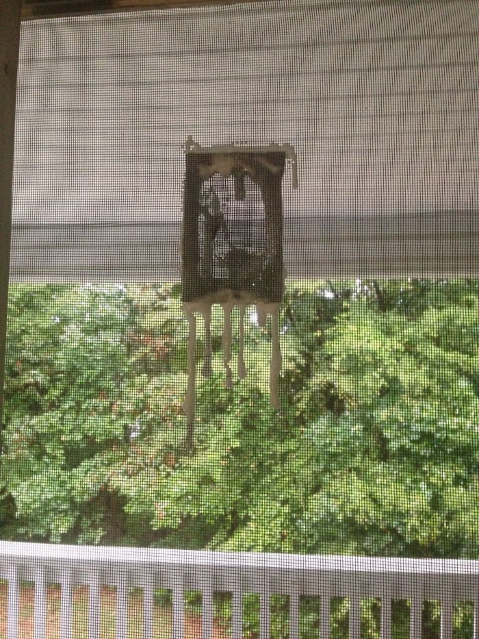 I Noted A Tear In My Porch Screen When Moving Into My New Apartment. This Is How They Fixed It