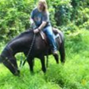 horselady_9876 avatar