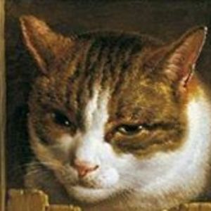 pablo_sheldon avatar