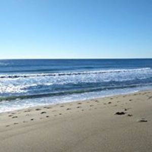 saint_nickies avatar