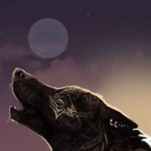 chasedgoodson avatar