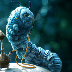 prudencewalling avatar