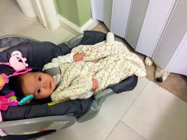 I Leave My Daughter In The Car Seat While I Shower So I Can Keep An Eye On Her. My Corgi Still Loves Her But We Don't Allow Him In The Bathroom