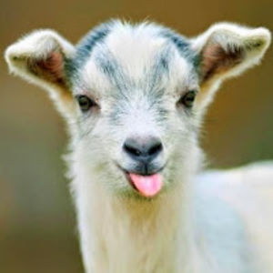 davidpeters_1 avatar