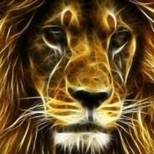 larsen_cheryl avatar