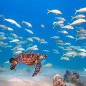 joanna_villano avatar