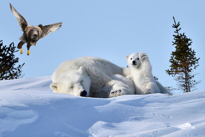 A Friend Comes To Visit