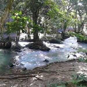 carolyn_stone avatar