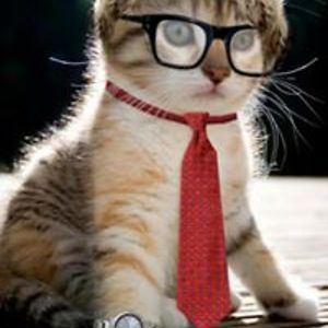 lorrainesmith62 avatar