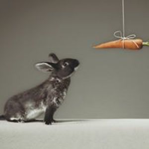 dilyana_works avatar