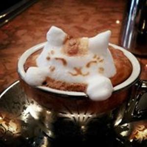 mary_ruth_batchelder avatar