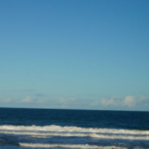 geovannafranca avatar