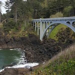 opala_nightowl avatar