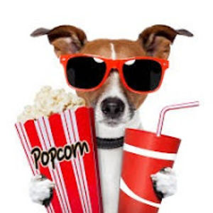moviedog avatar