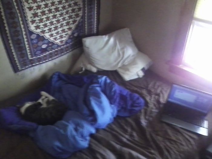 I Don't Own A Cat.... But I Did Leave My Window Open On A Hot Day... And Idk If Its A Nice Cat Or Not..