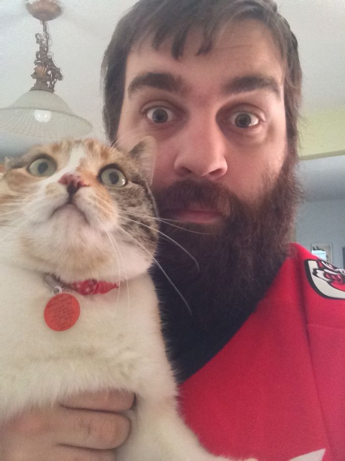 I Don't Own A Cat, But This One Wanders Into My Apartment From Time To Time. I Think He's Starting To Regret It