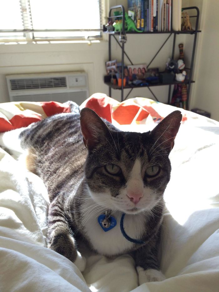 Taken Right After I Woke Up This Morning. My Door Was Locked. I Don't Own A Cat