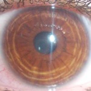 carolyne_20_01 avatar