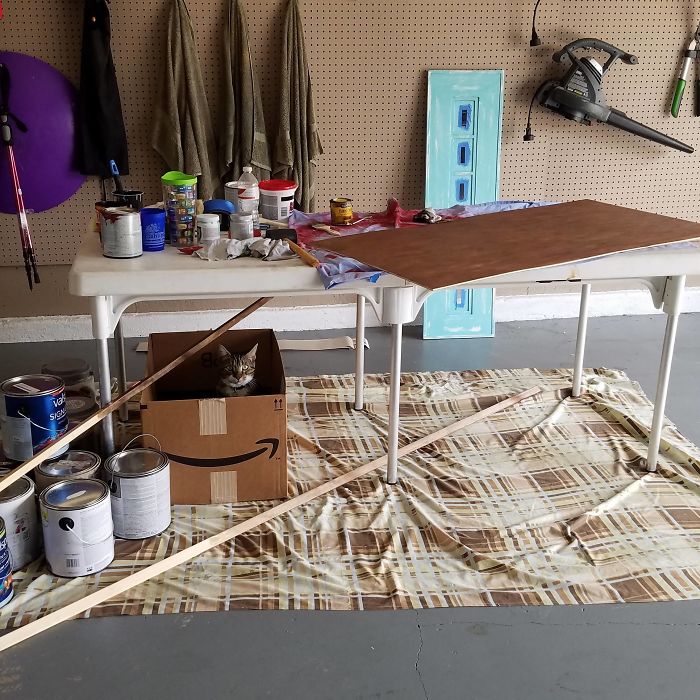 Working On Projects In The Garage. I Don't Own A Cat