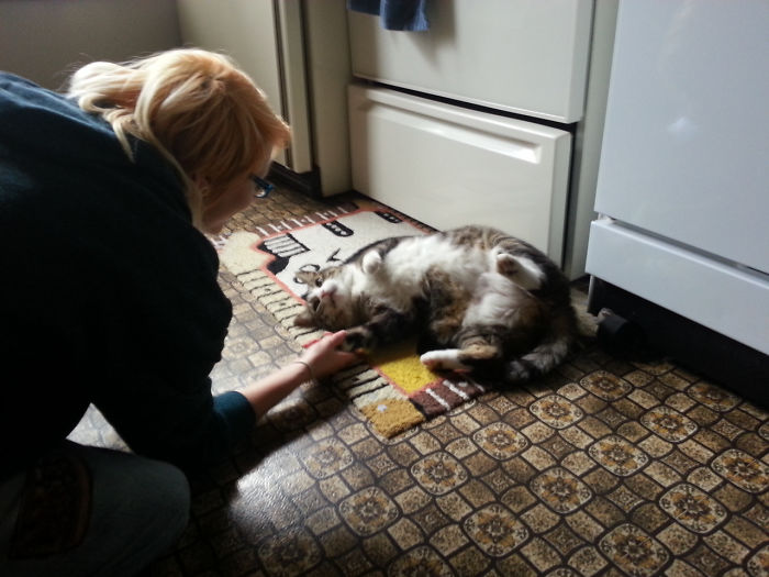 Stray Cat Come To Say Hi, Walked Right Into Our House