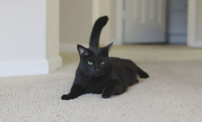 Woke Up To A Knock At The Door, This Guy Walks In, Refuses To Leave