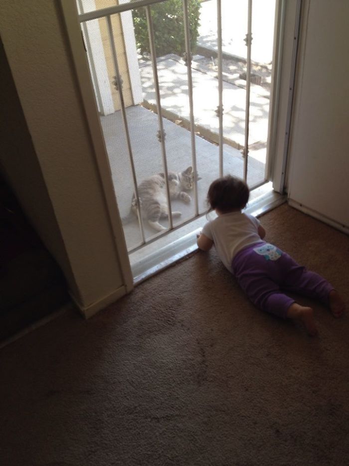 My Daughter Made A Friend - We Don't Own A Cat