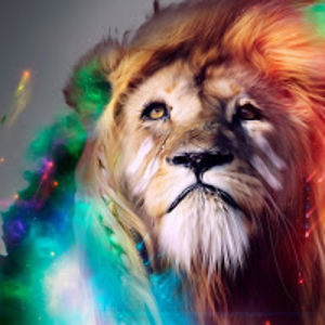 leimarchand-jacques avatar