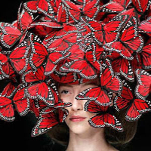 alessiafacchin avatar