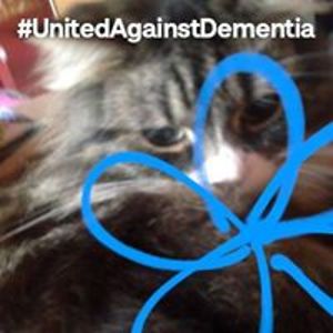 lulu_percival avatar