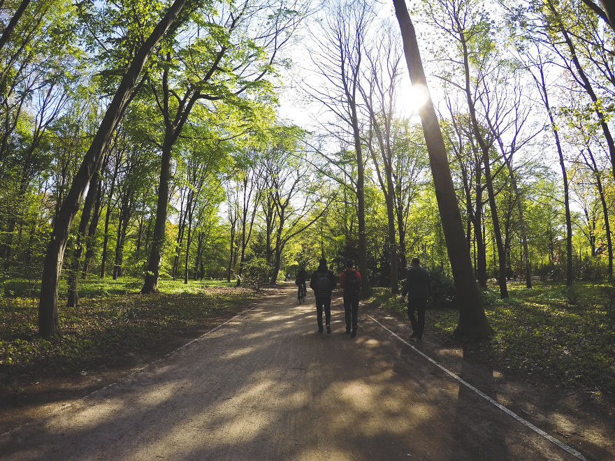 Berlin Through My Eyes