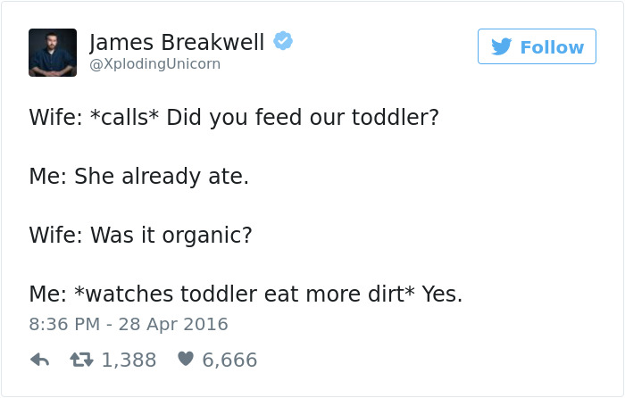 Funny Dad Tweets