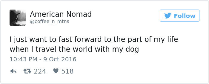 Dog Tweets