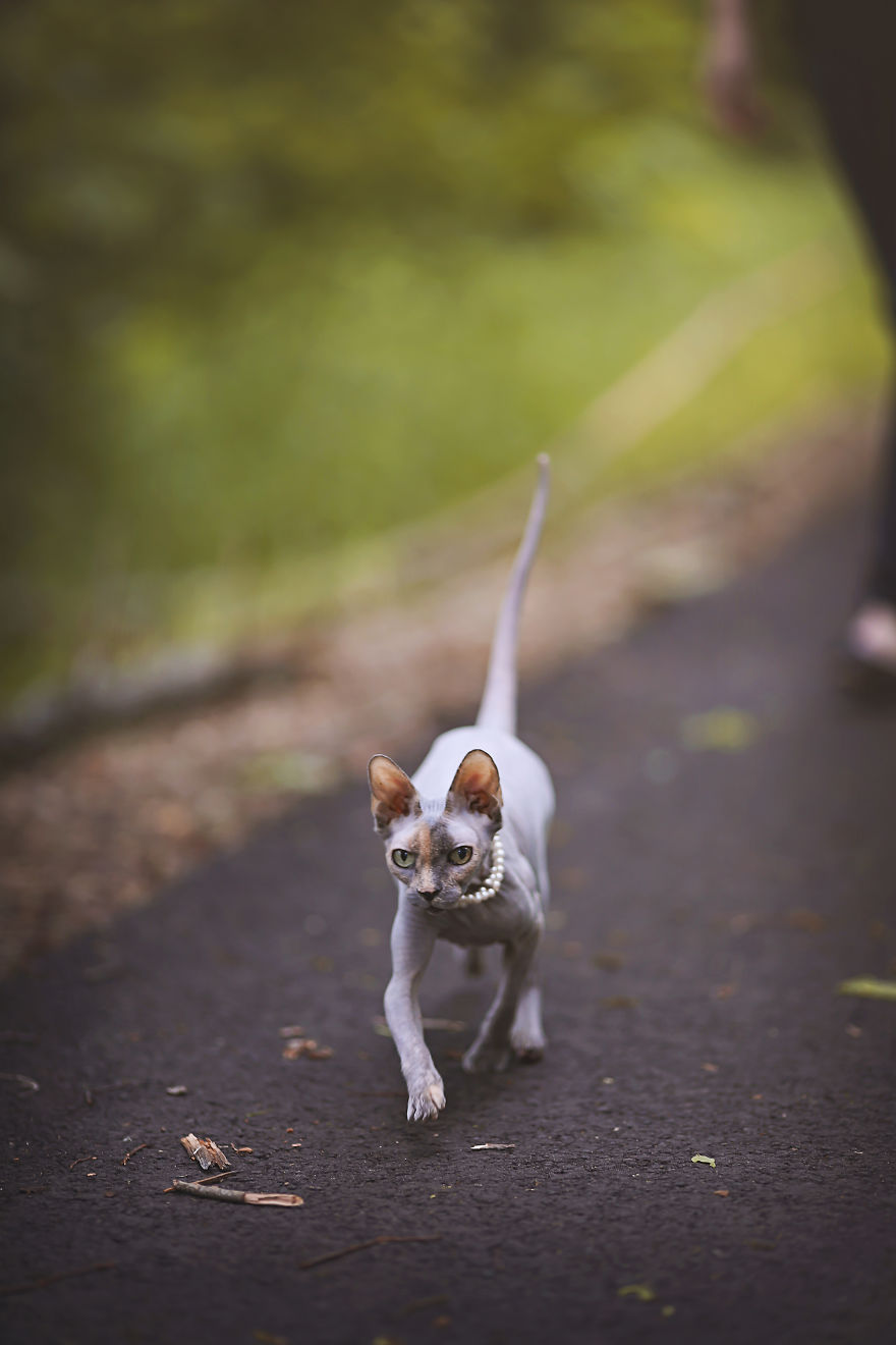 When Your Parents Ask You When You're Going To Give Them Grandchildren