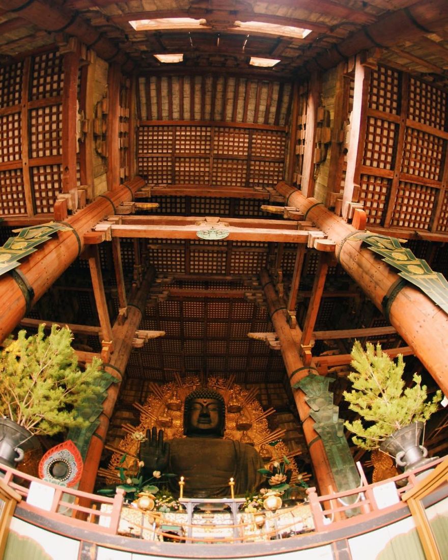 Beautiful Life In Nara, Japan