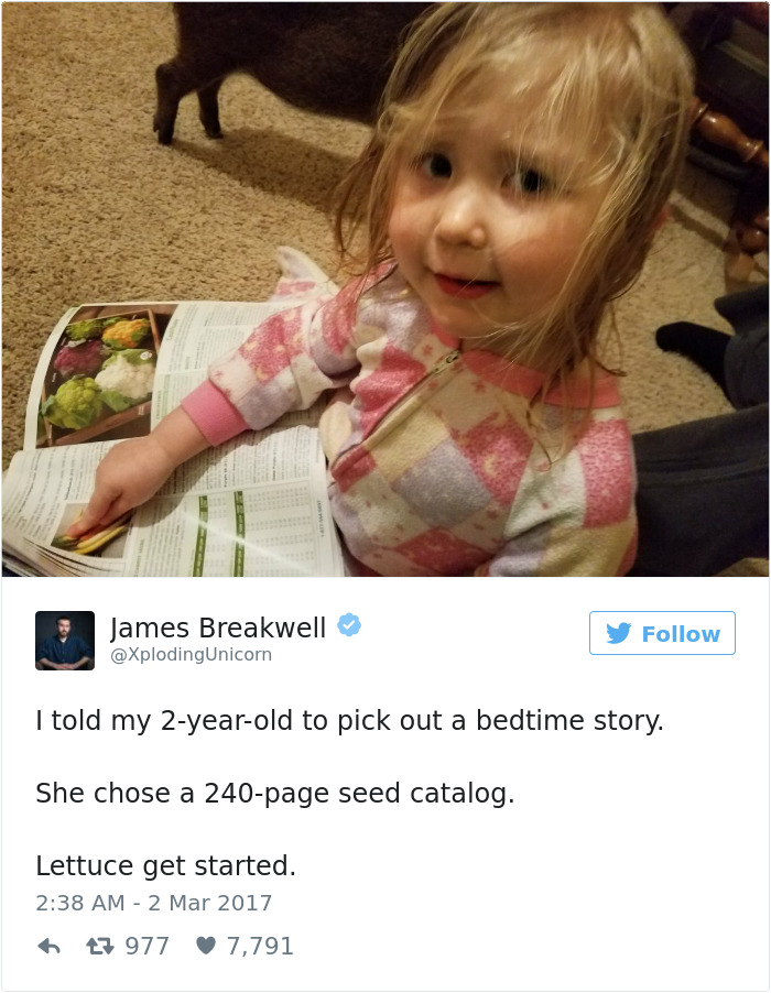 Funny Dad Tweets