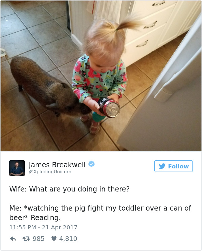 Funny Dad Tweets