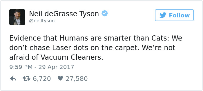 Neil deGrasse Tyson Tries To Make Fun Of Cats On Twitter, Gets Totally Destroyed By One Neil deGrasse Tyson Tries To Make Fun Of Cats On Twitter, Gets Totally Destroyed By One