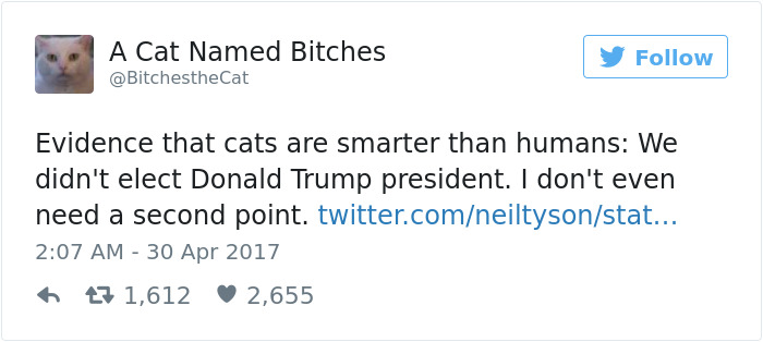 Neil deGrasse Tyson Tries To Make Fun Of Cats On Twitter, Gets Totally Destroyed By One Neil deGrasse Tyson Tries To Make Fun Of Cats On Twitter, Gets Totally Destroyed By One