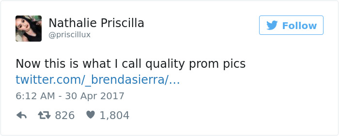 18-Year-Old Makes Her Dachshund A Matching Prom Dress, Wins The Internet 18-Year-Old Makes Her Dachshund A Matching Prom Dress, Wins The Internet