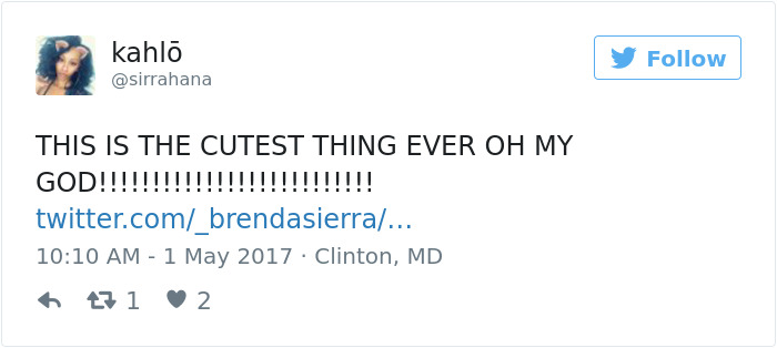 18-Year-Old Makes Her Dachshund A Matching Prom Dress, Wins The Internet 18-Year-Old Makes Her Dachshund A Matching Prom Dress, Wins The Internet